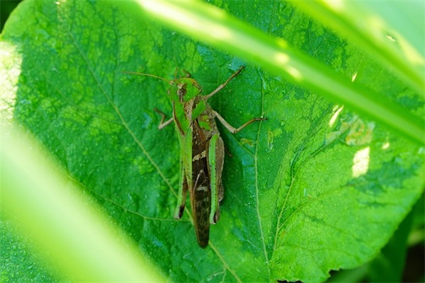 最新的令人心疼的句子大全 令人心疼的句子 最新的令人心疼的句子大全 令人心疼的句子