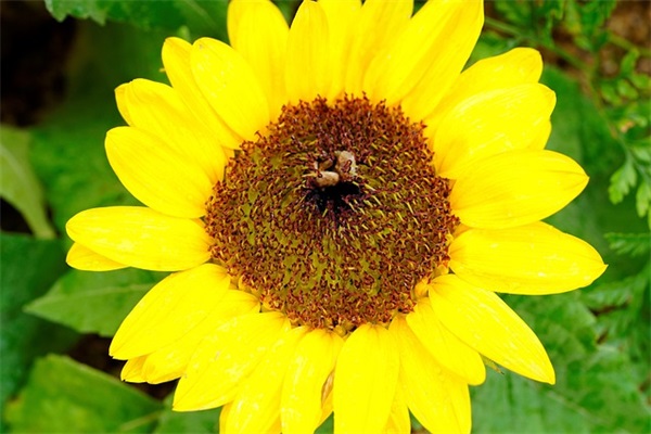 关于三十岁生日的句子 三十岁生日霸气句子