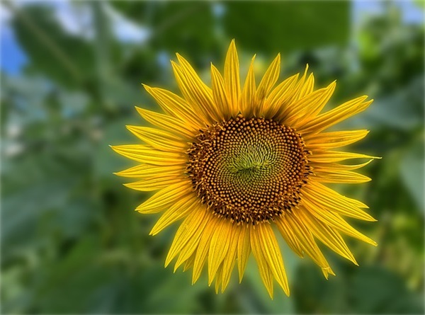 关于背后捅刀子的句子