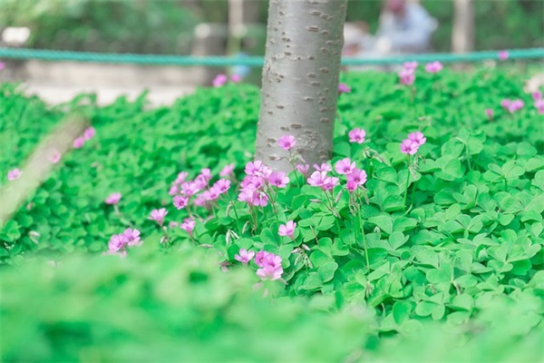 异地恋想念男朋友句子 异地恋想念男朋友句子