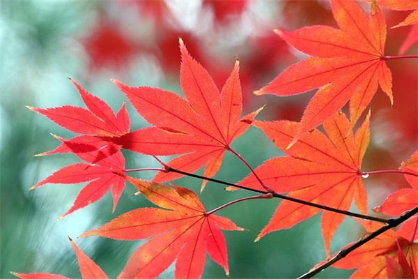 缘分的句子文案 分手的文案句子