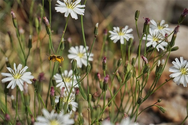 温暖人心的句子 有着专属于你的美丽