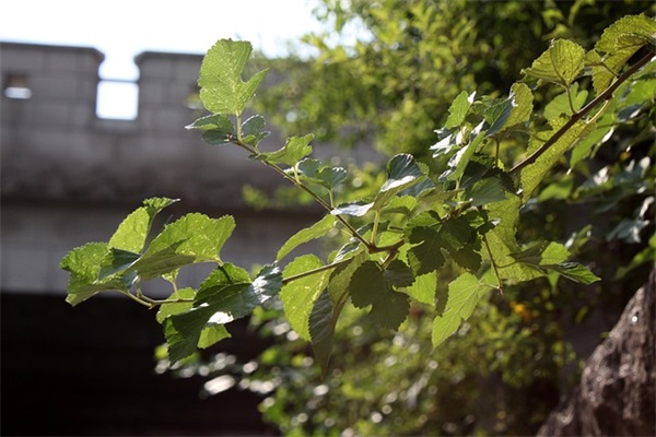 微信清账句子 如何巧妙的催别人还钱 微信清账句子 如何巧妙的催别人还钱