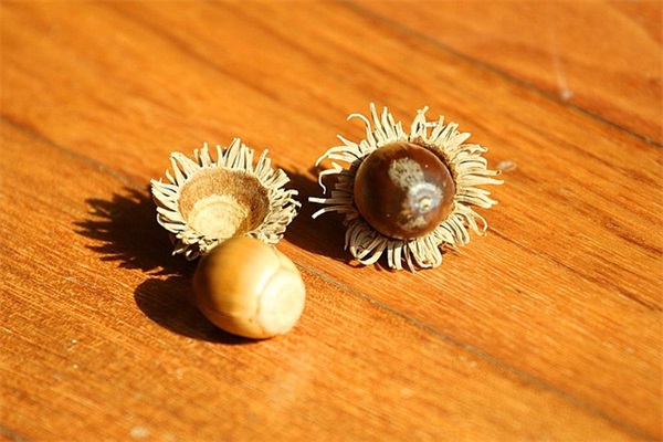 有关情怀正能量的句子