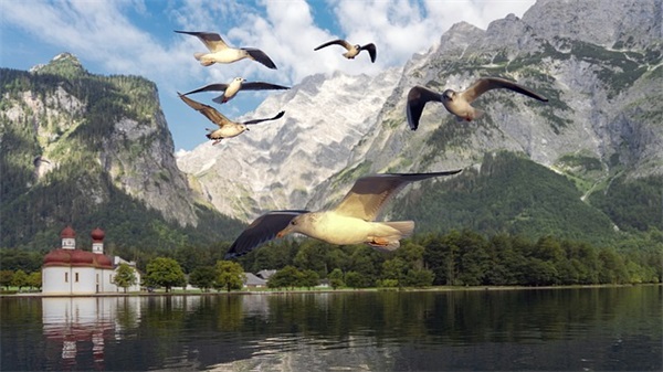 爸爸宠女儿的幽默句子 爸爸宠闺女幽默句子