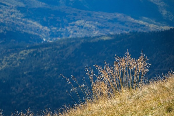 适合用来损人的幽默搞笑句子 适合用来损人的幽默搞笑句子