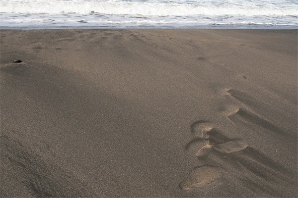 早安正能量句子励志