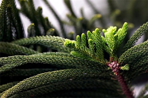 2026致敬最美医护人员的句子