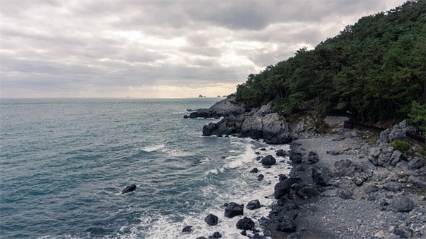 青春无悔的励志句子长句 成长青春追梦的句子