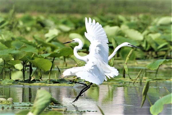 充满阳光的句子文案 充满阳光正能量的文案