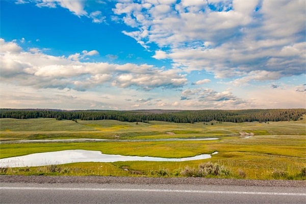 兔年领导短信祝福语 虎年领导祝福语 兔年领导短信祝福语 虎年领导祝福语