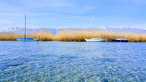 女生节经典祝福语80句 女生节经典祝福语80句