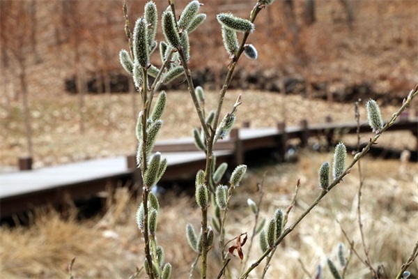 爷爷奶奶祝福语80句 爷爷奶奶祝福语80句