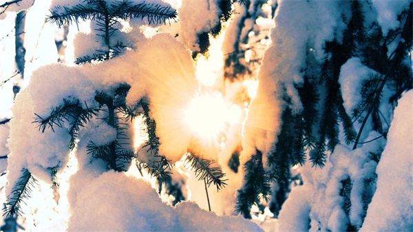 2026年新年祝福语-83句