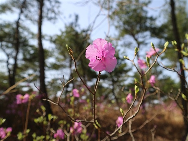 对爷爷奶奶爸爸妈妈的祝福语 【爷爷奶奶爸爸妈妈祝福的好词】