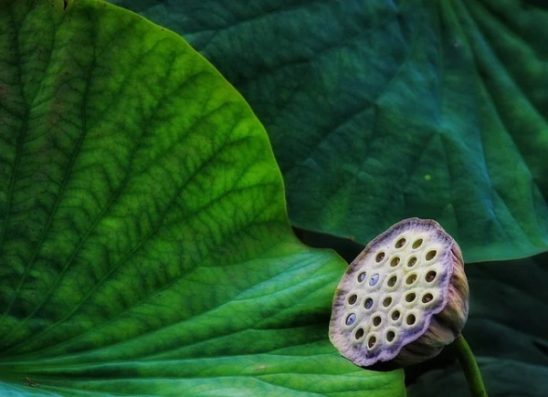 不一样的生日祝福语 【不一样的生日祝福语 好朋友】