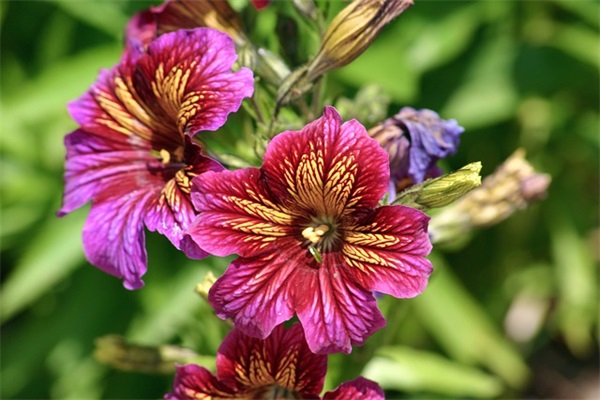 妹子的生日祝福语 【妹子生日祝福语较长】