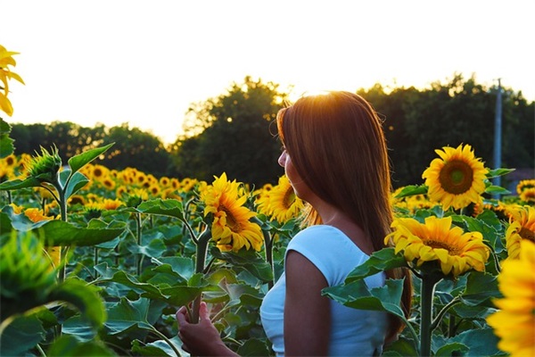 同桌生日祝福语简短说说 【同桌生日祝福语简短说说朋友圈】