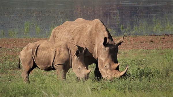儿童节祝福语大全简短 【儿童节祝福语大全简短50个字】 儿童节祝福语大全简短 【儿童节祝福语大全简短50个字】