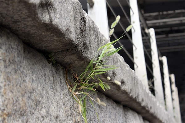 结婚有趣的祝福语 【八个字祝愿新婚】 结婚有趣的祝福语 【八个字祝愿新婚】