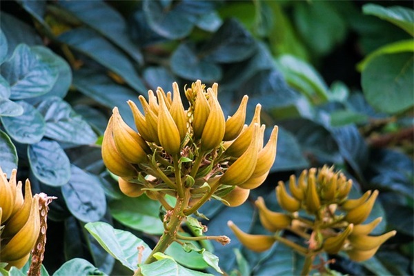 八十大寿的祝福语怎么说-83句