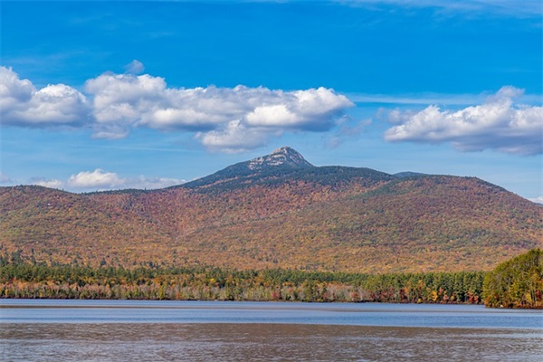 律所开业祝福语 【律所开业祝贺语】