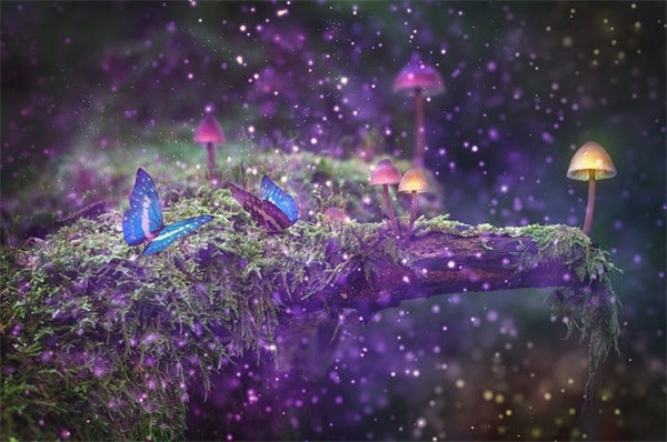 50岁男人生日祝福语简短 【50岁男人生日祝福语简短青春】