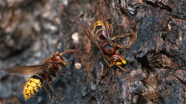 简短珍珠婚祝福语 祝贺珍珠婚的祝福语(精选28句)