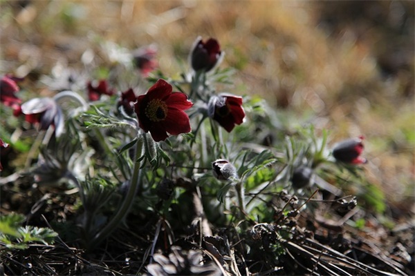 老师给高考学生的励志祝福语 对学生的励志祝福语