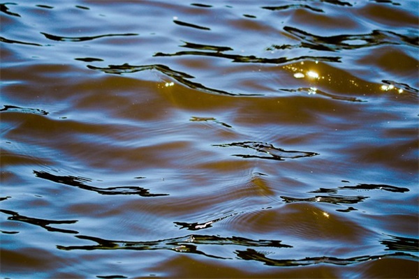 双胞胎宝宝祝福语 恭喜双胞胎宝宝出生祝福语 双胞胎宝宝祝福语 恭喜双胞胎宝宝出生祝福语