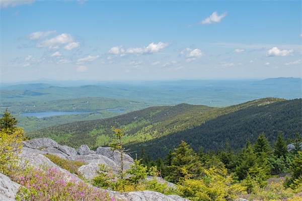 对老师生日祝福语唯美字(精选31句)