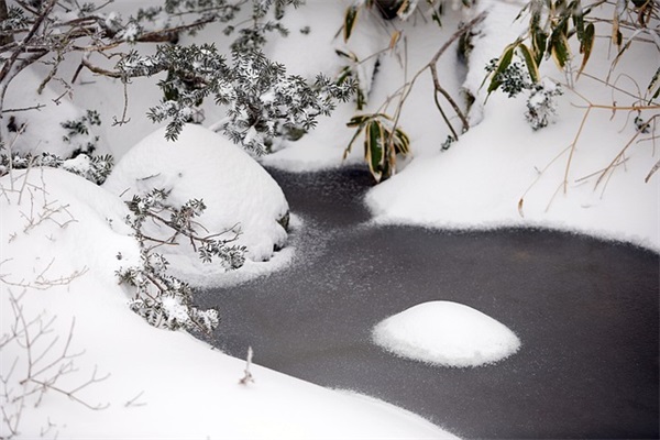 关于儿子14岁生日的祝福文案(精选54句)