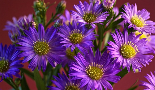 人生感悟励志的短句子 人生感悟的句子简短的