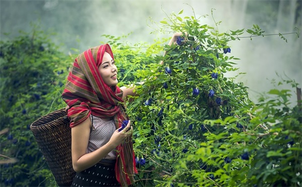 给姐姐的结婚祝福语 送姐姐出嫁霸气句子（精选推荐）
