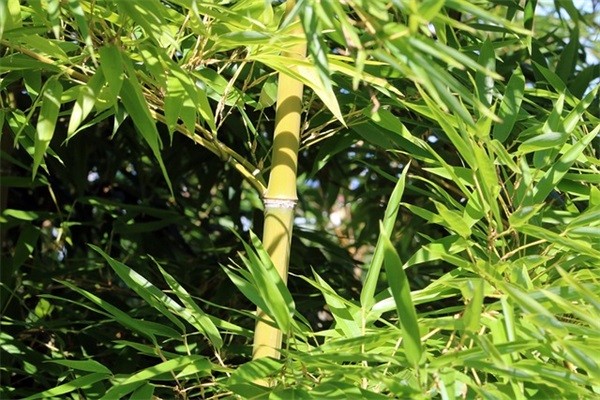 正能量的话语短句子 正能量的短句子经典
